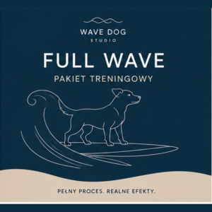 FULL WAVE