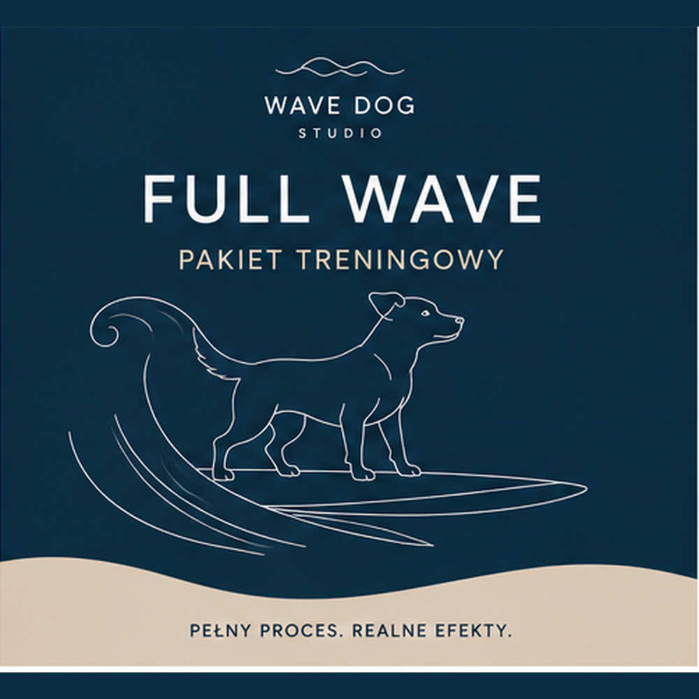 FULL WAVE
