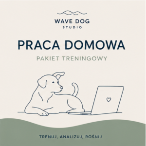 PRACA DOMOWA