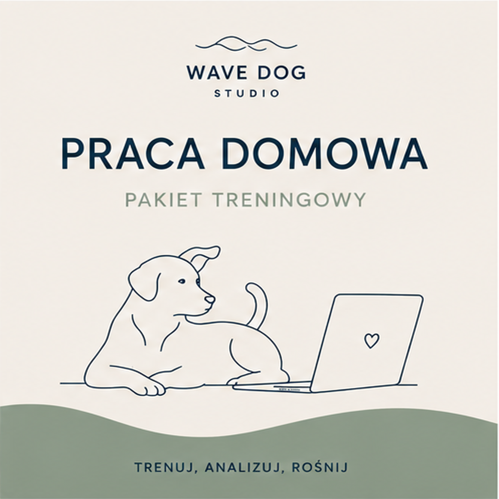 PRACA DOMOWA