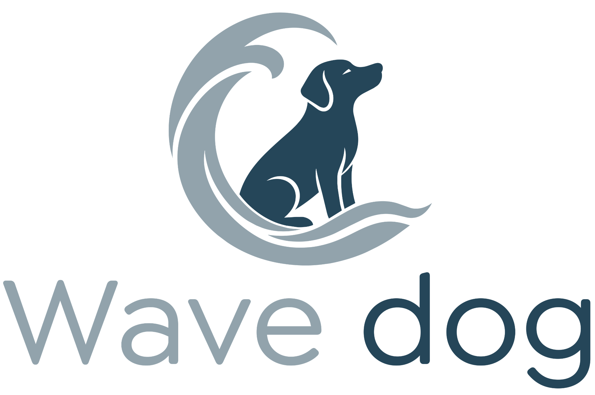 Wave Dog Studio